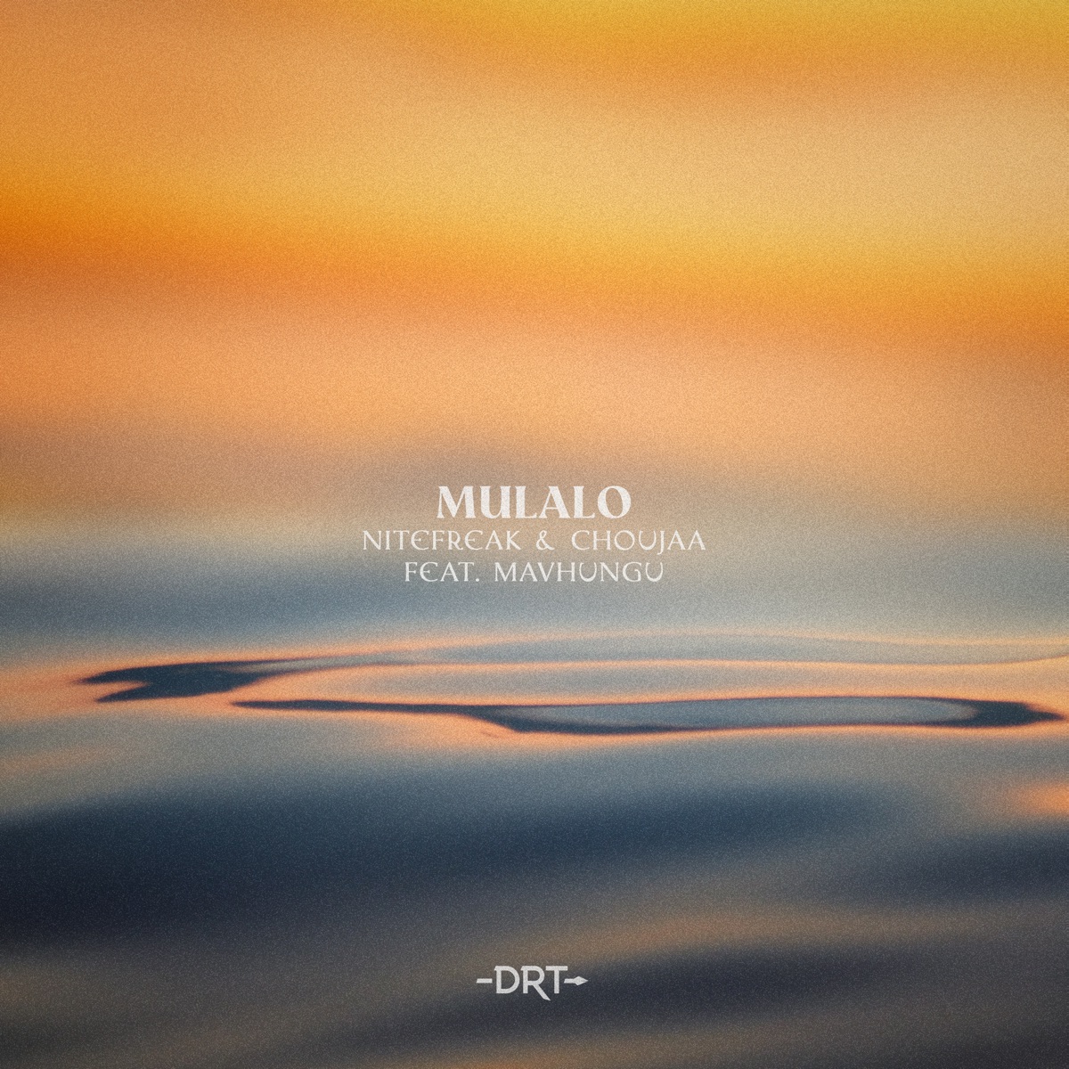 Mulalo (feat. Mavhungu) - Single by Nitefreak & Choujaa album cover