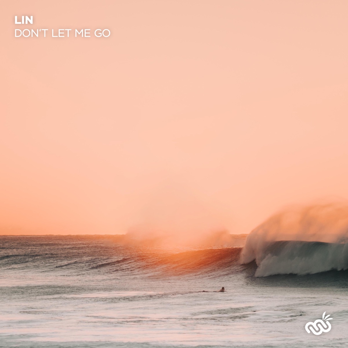 Don't Let Me Go - Single by LiN album cover