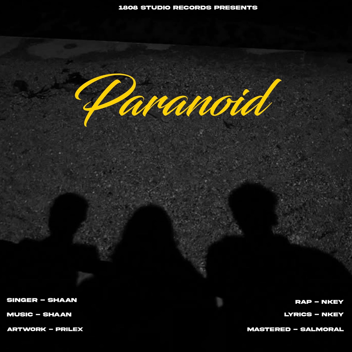 Paranoid - Single by Shaan & N key album cover