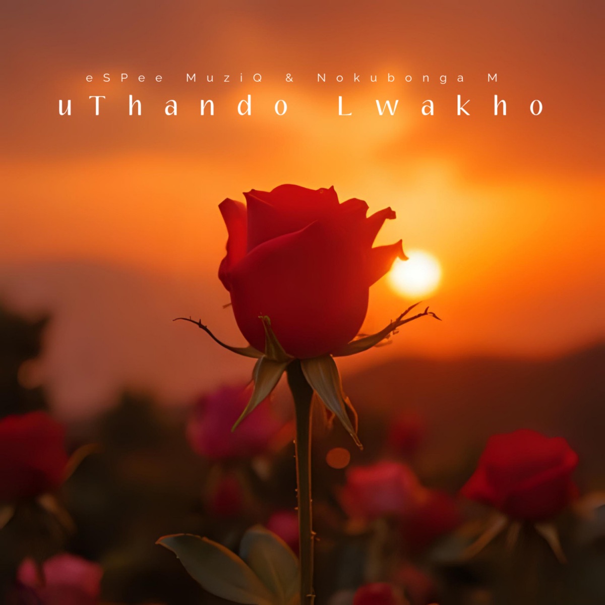 uThando Lwakho - Single by eSPee MuziQ & Nokubonga M album cover
