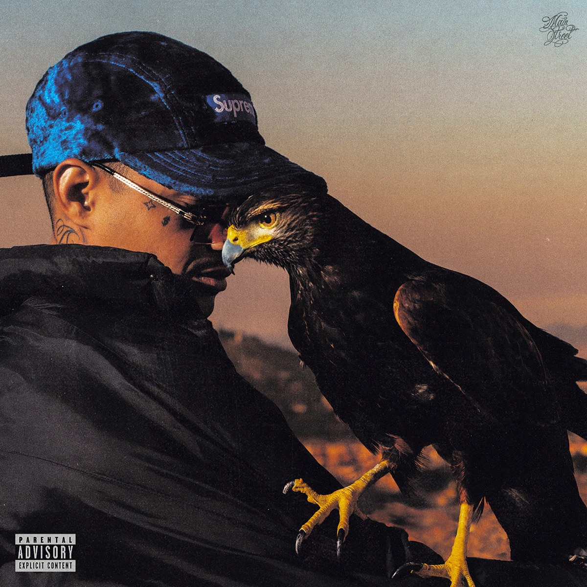 Falcão do Morro by Bielzin album cover