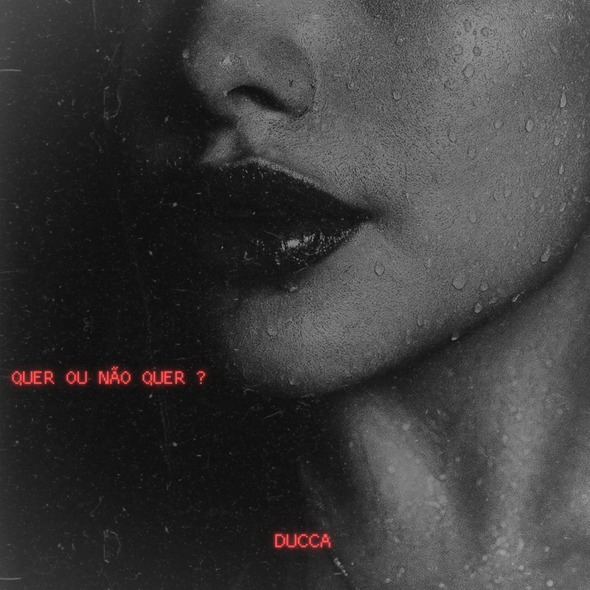 Quer ou Não Quer? - Single by Ducca & RM no Beat album cover