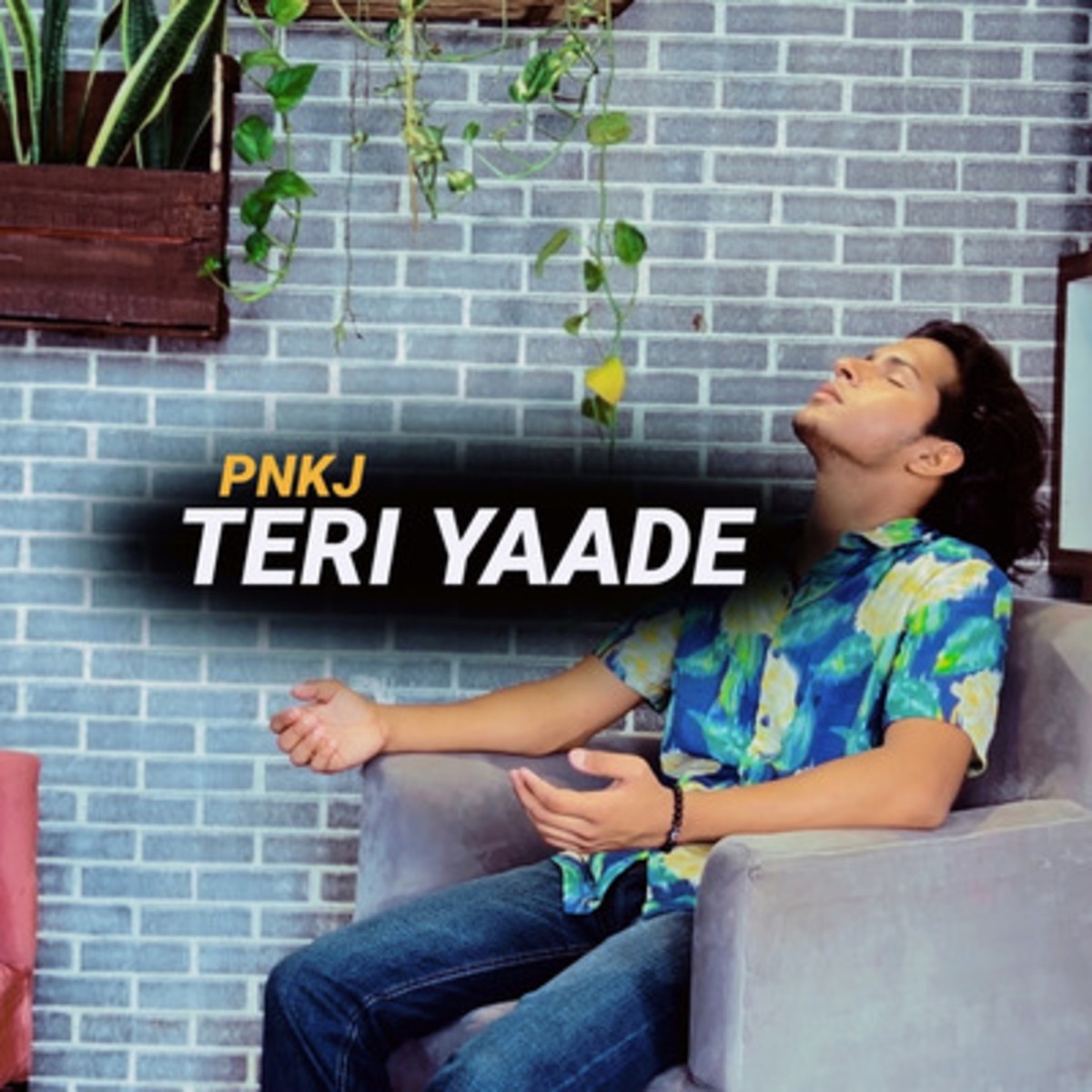 Teri Yaade - Single by PNKJ album cover