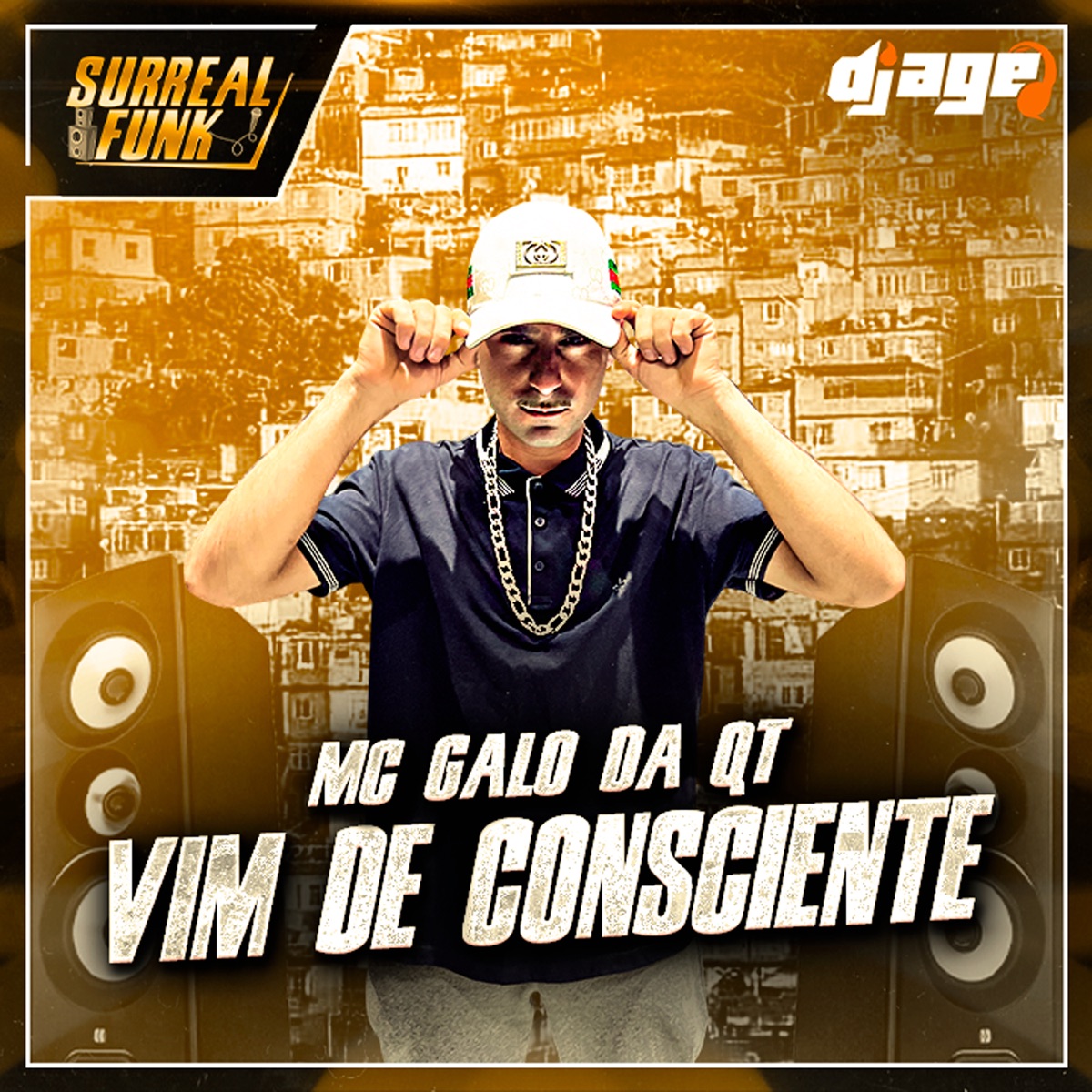 Vim de Consciente - Single by MC Galo da QT & Dj Age album cover
