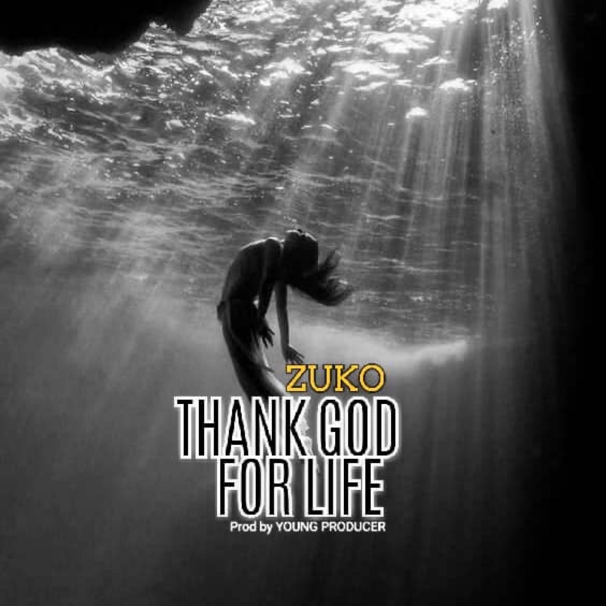 THANK GOD FOR LIFE (Remix) - Single by Zuko album cover