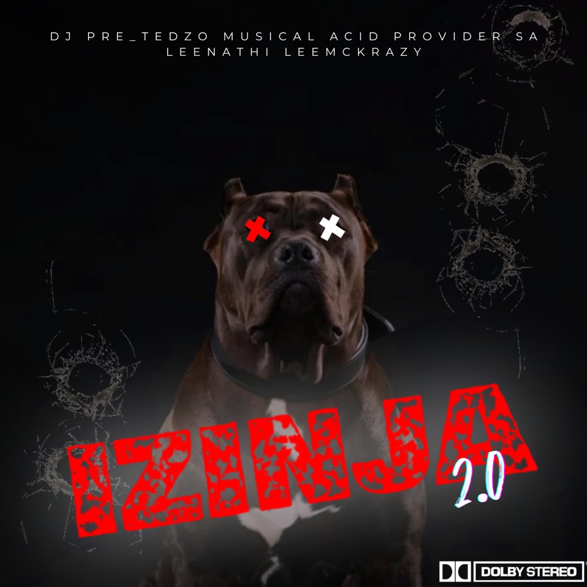 Izinja 2.0 (feat. Provider SA & Leenathi) - Single by Musical Acid Dj Pre_Tedzo & Leemckrazy album cover