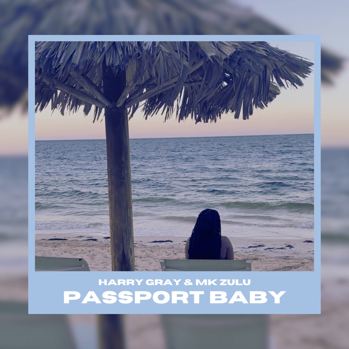Passport Baby - Single by MK Zulu & Harry Gray album cover