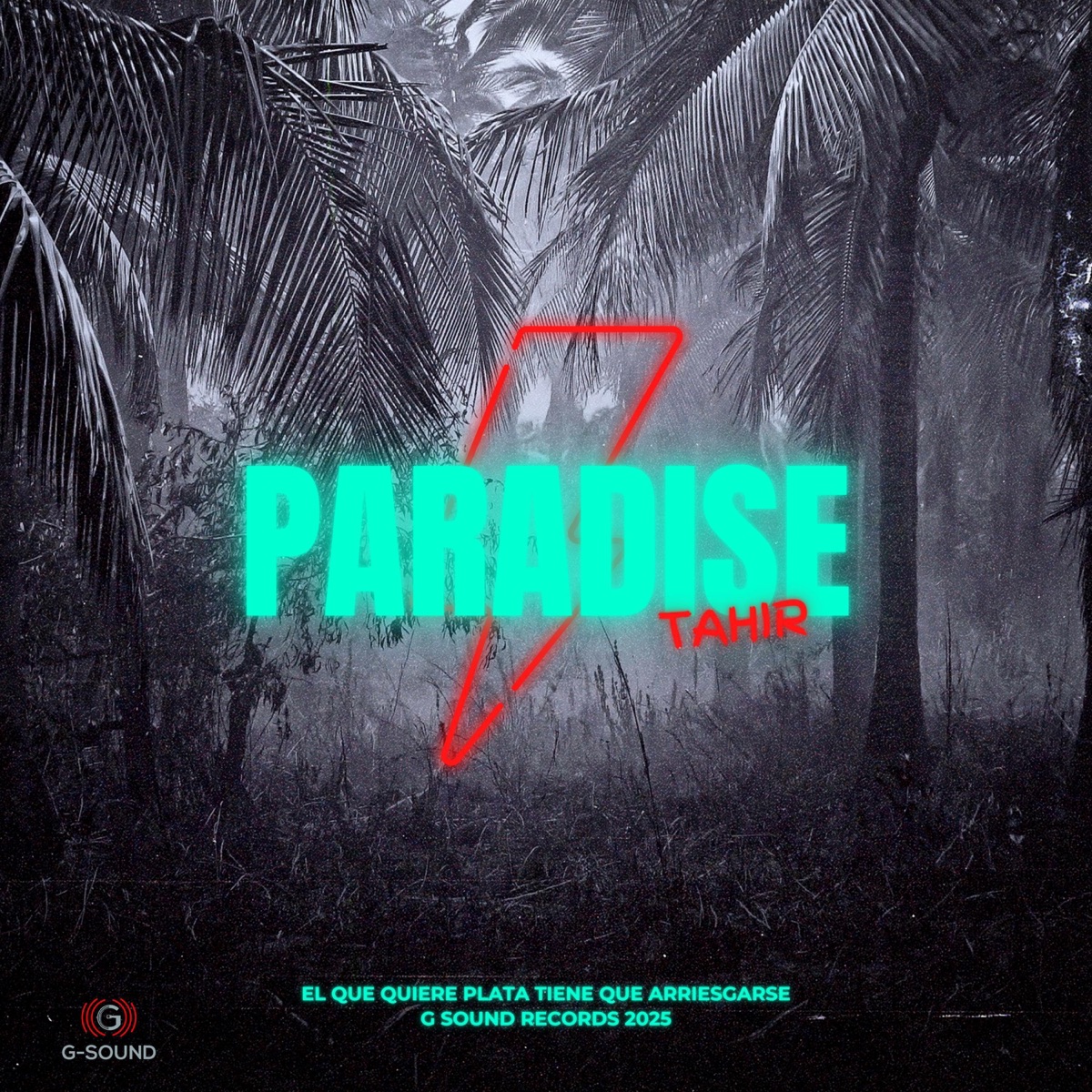 Paradise - Single by Tahir album cover