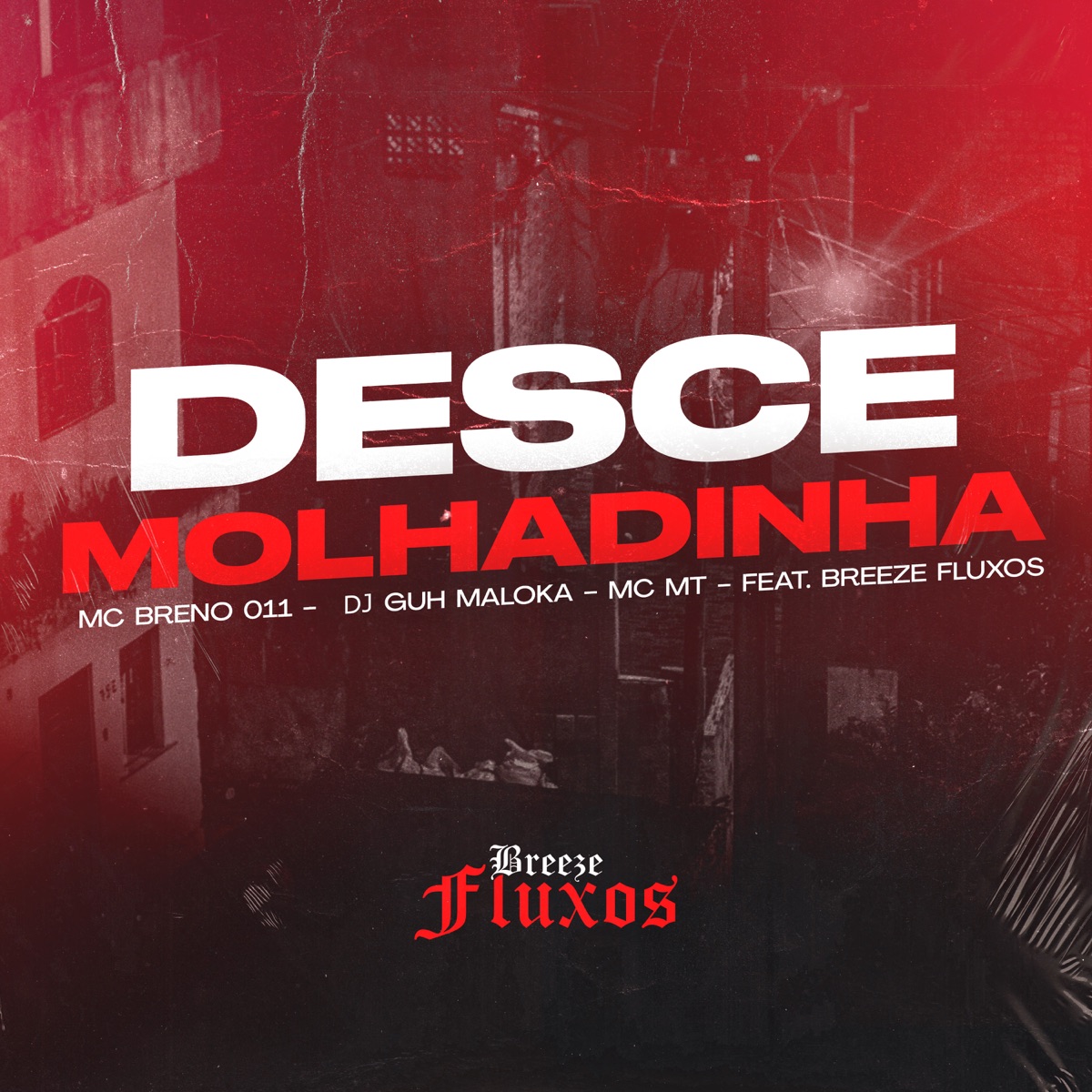 Desce Molhadinha (feat. Breeze Fluxos) - Single by DJ Guh Maloka, MC MT & MC Breno 011 album cover