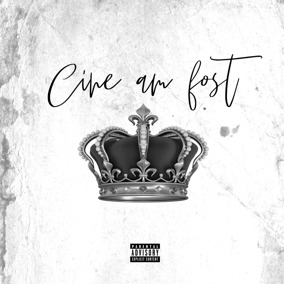CINE AM FOST - Single by Oltean album cover