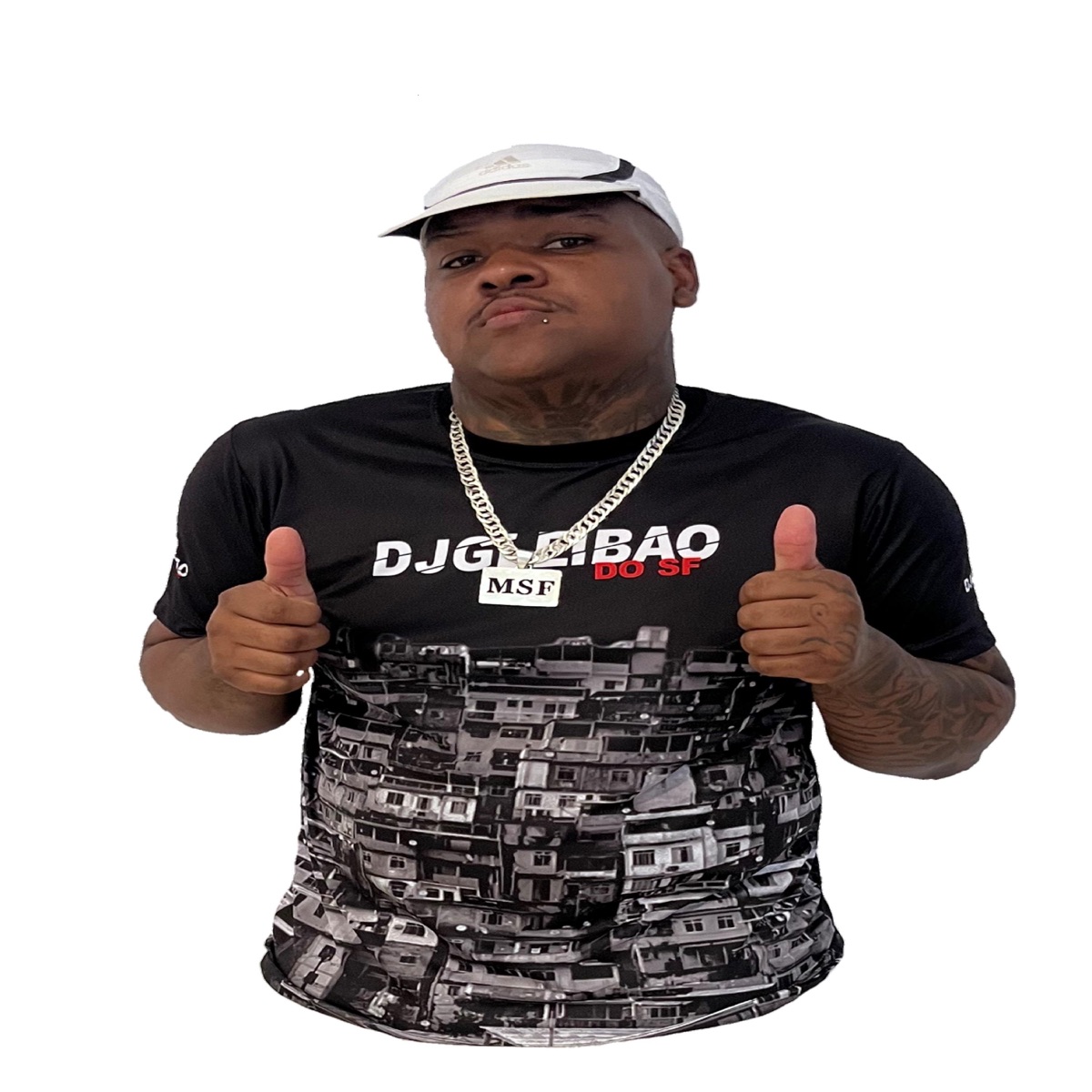 # VOLTEI PRA RUA RECENTE KKKK2036 - Single by DJ GLEIBÃO SF album cover