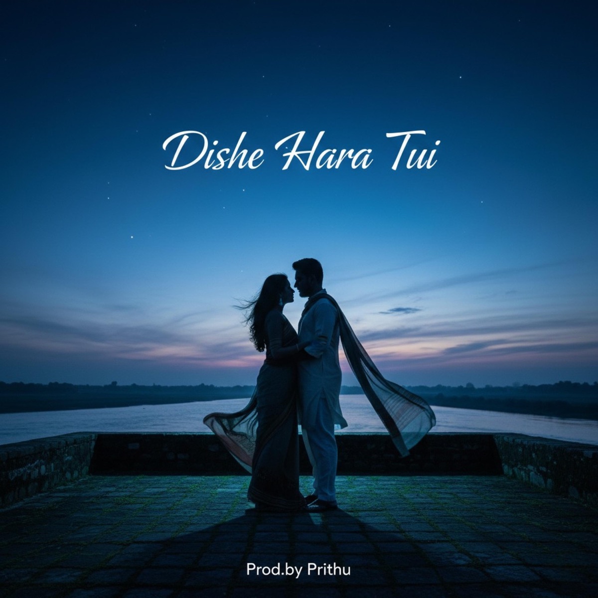 Dishe Hara Tui (feat. Protik) - Single by Prithu album cover