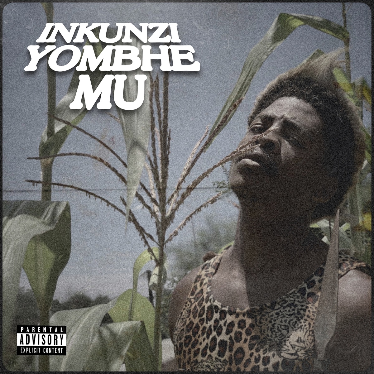Inkunzi Yombhemu by Itilongo album cover