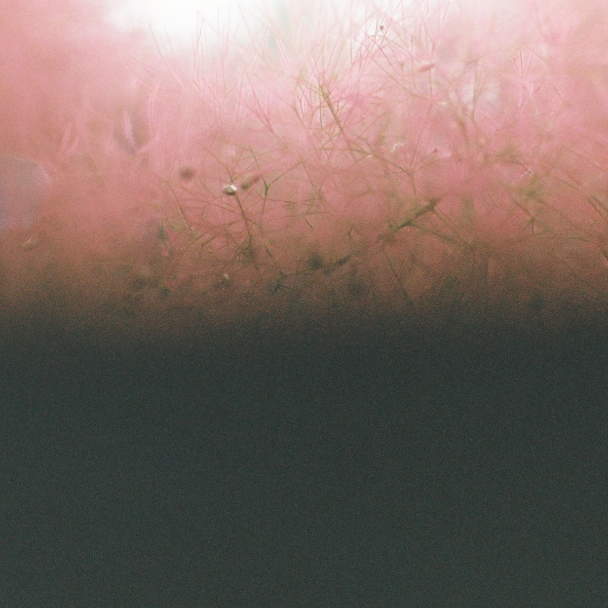 Soft Euphoria - EP by Foam and Sand, Robot Koch & Six Missing album cover