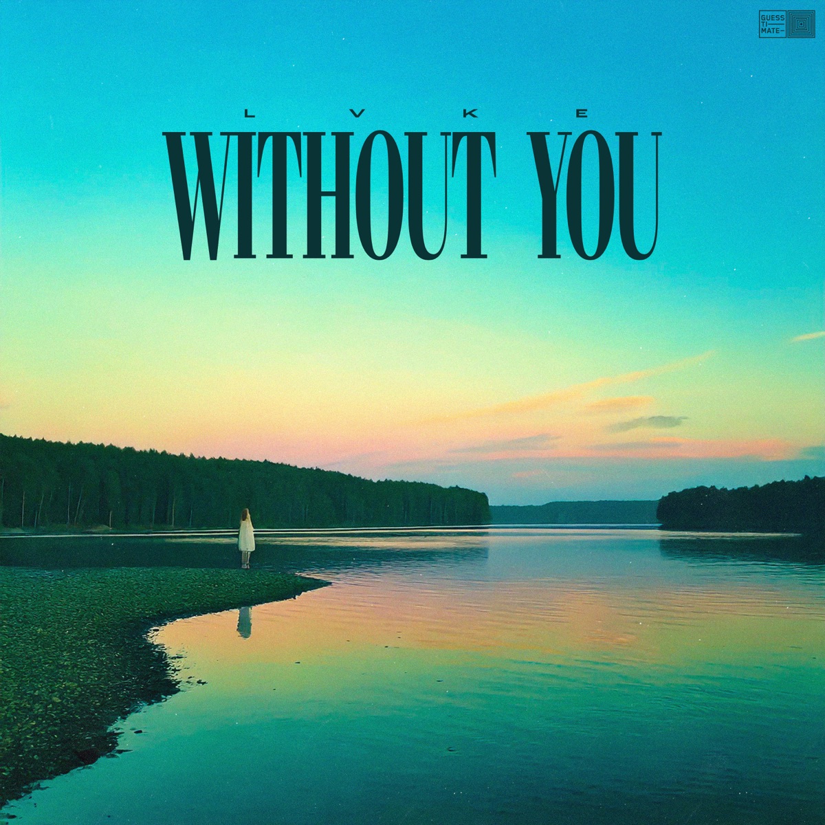 Without You - Single by LVKE album cover