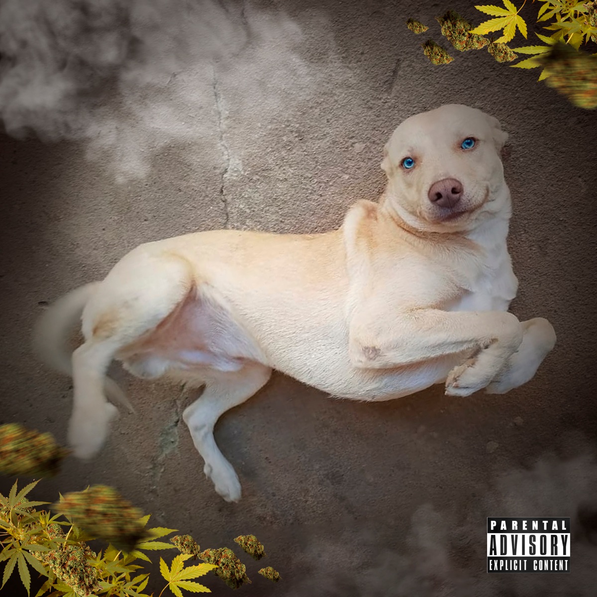 Dogdu - Single by MC Tchê7, KLZ & MTE album cover