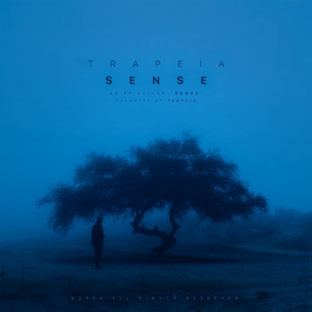 sense EP - EP by trapeia album cover