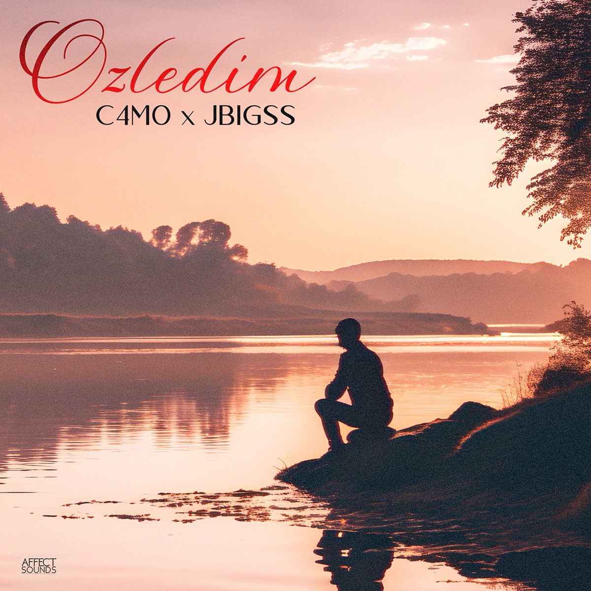 Ozledim - Single by C4mo album cover