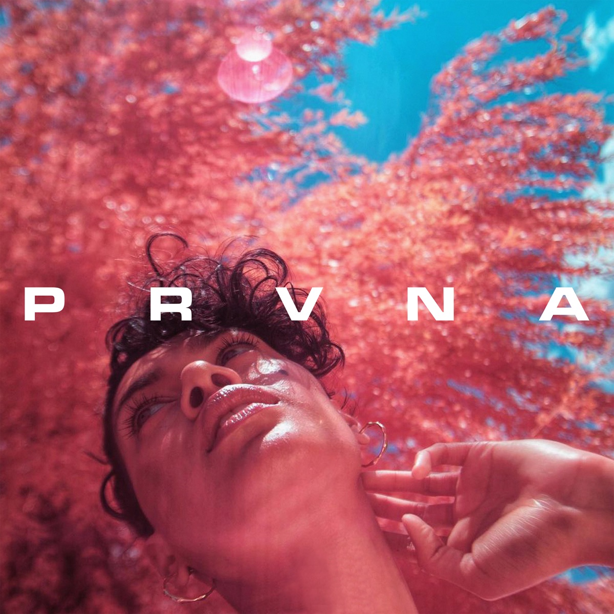 Get Down (Extended Mixes) - Single by PRVNA album cover