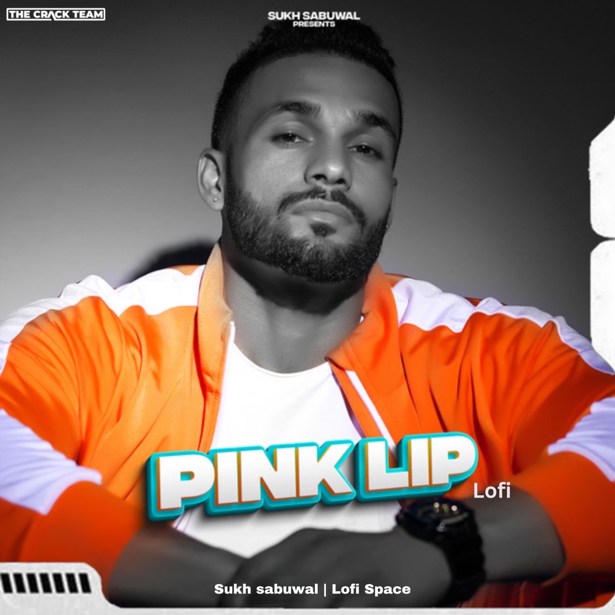 Pink Lip (Lofi) - Single by Sukh Sabuwal & Lofi Space album cover