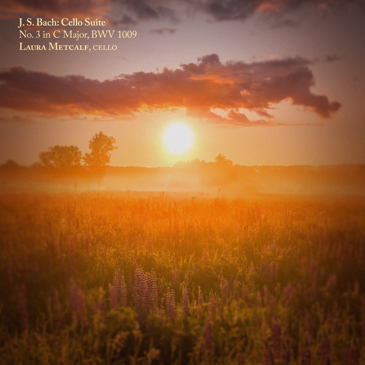 J. S. Bach: Cello Suite No. 3 in C Major, Bwv 1009 - EP by Laura Metcalf album cover