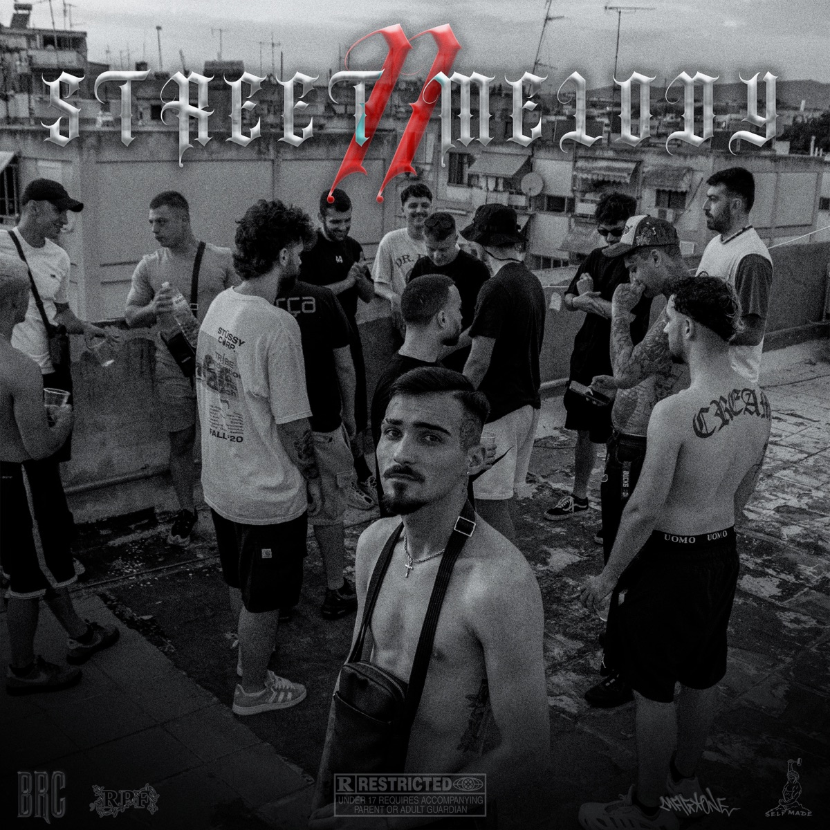 STREET MELODY II by Ortiz, Tony134 & Stepper album cover