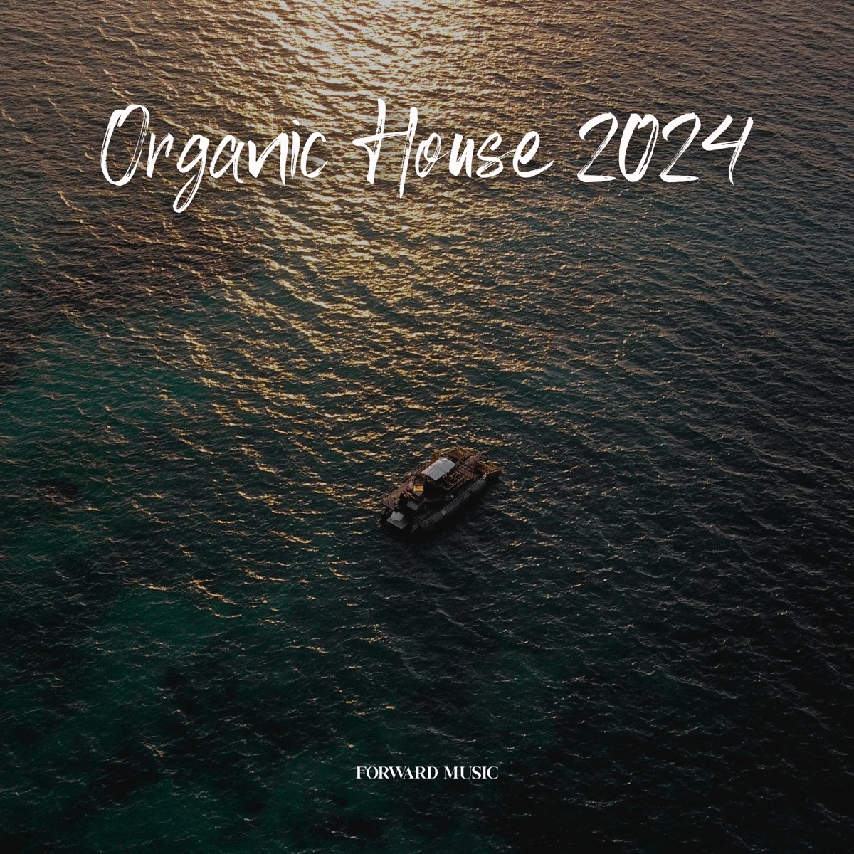 Organic House #03 by Claudiu Adam, La Vue & Missfeat album cover