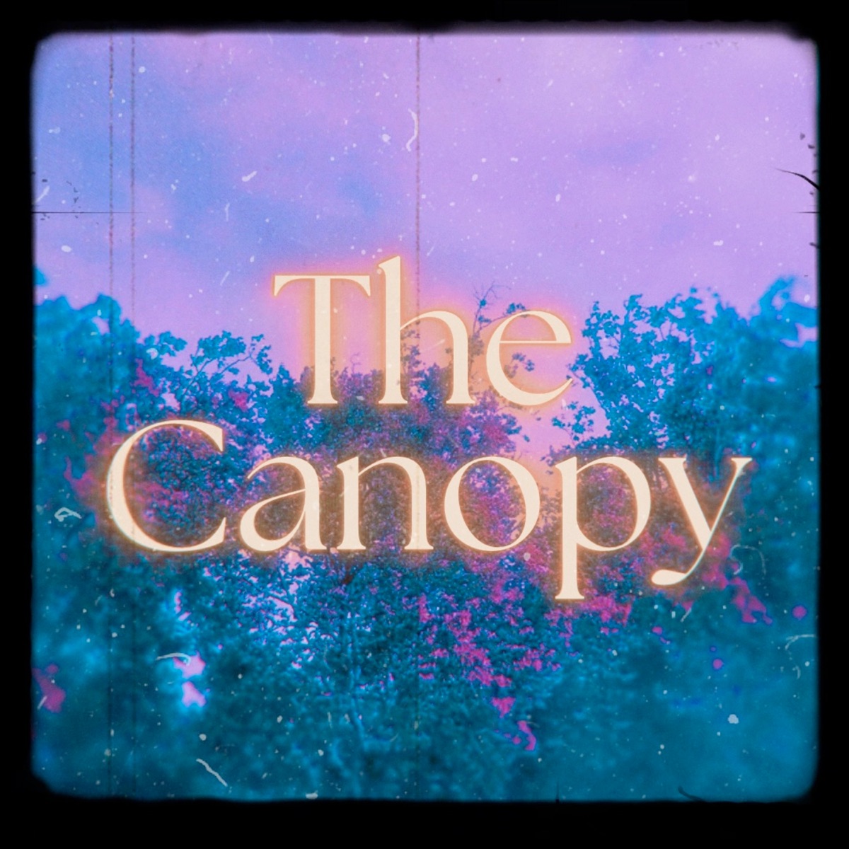 The Canopy - Single by Malice Jones album cover