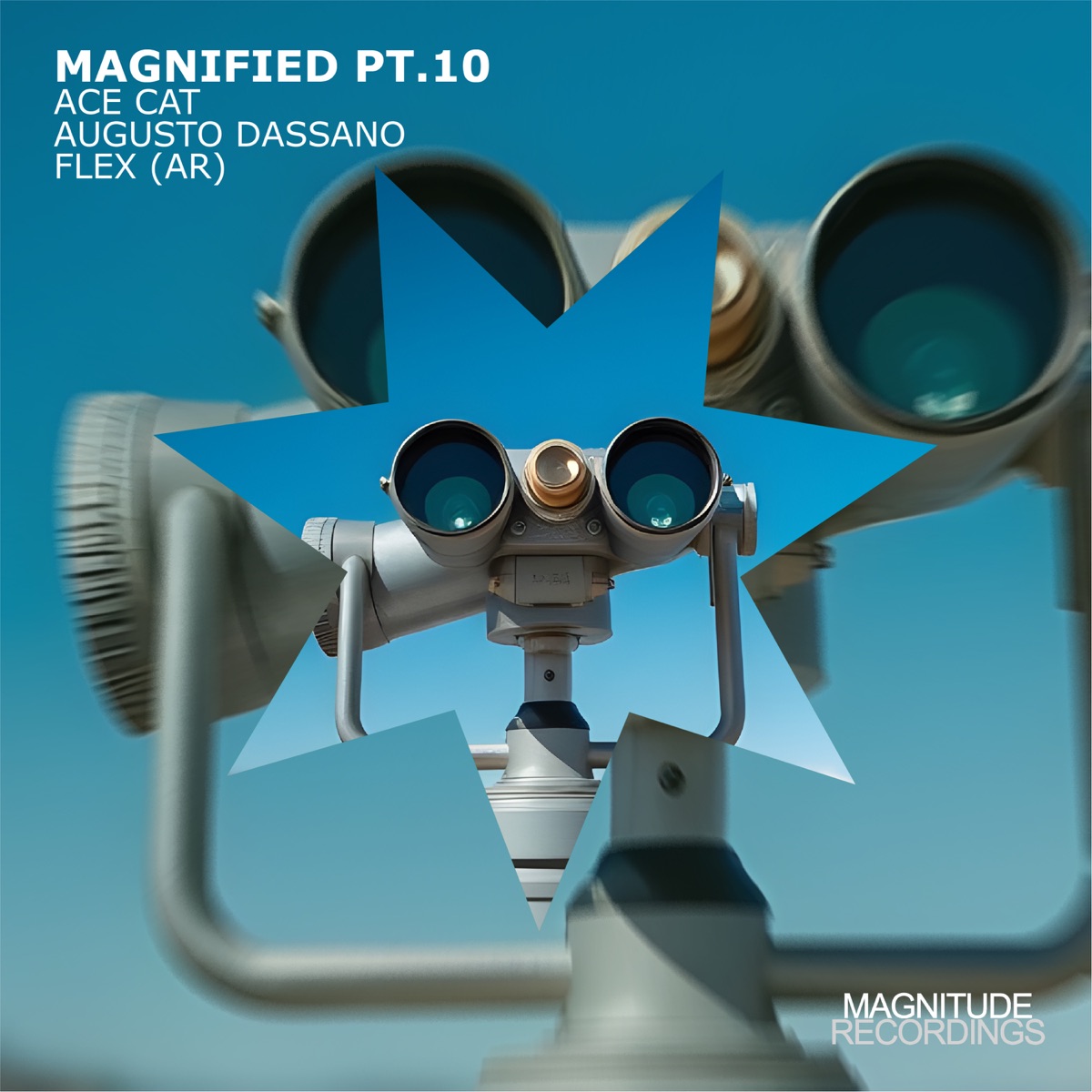 Magnified Pt. 10 - Single by ACE CAT, Augusto Dassano & Flex album cover