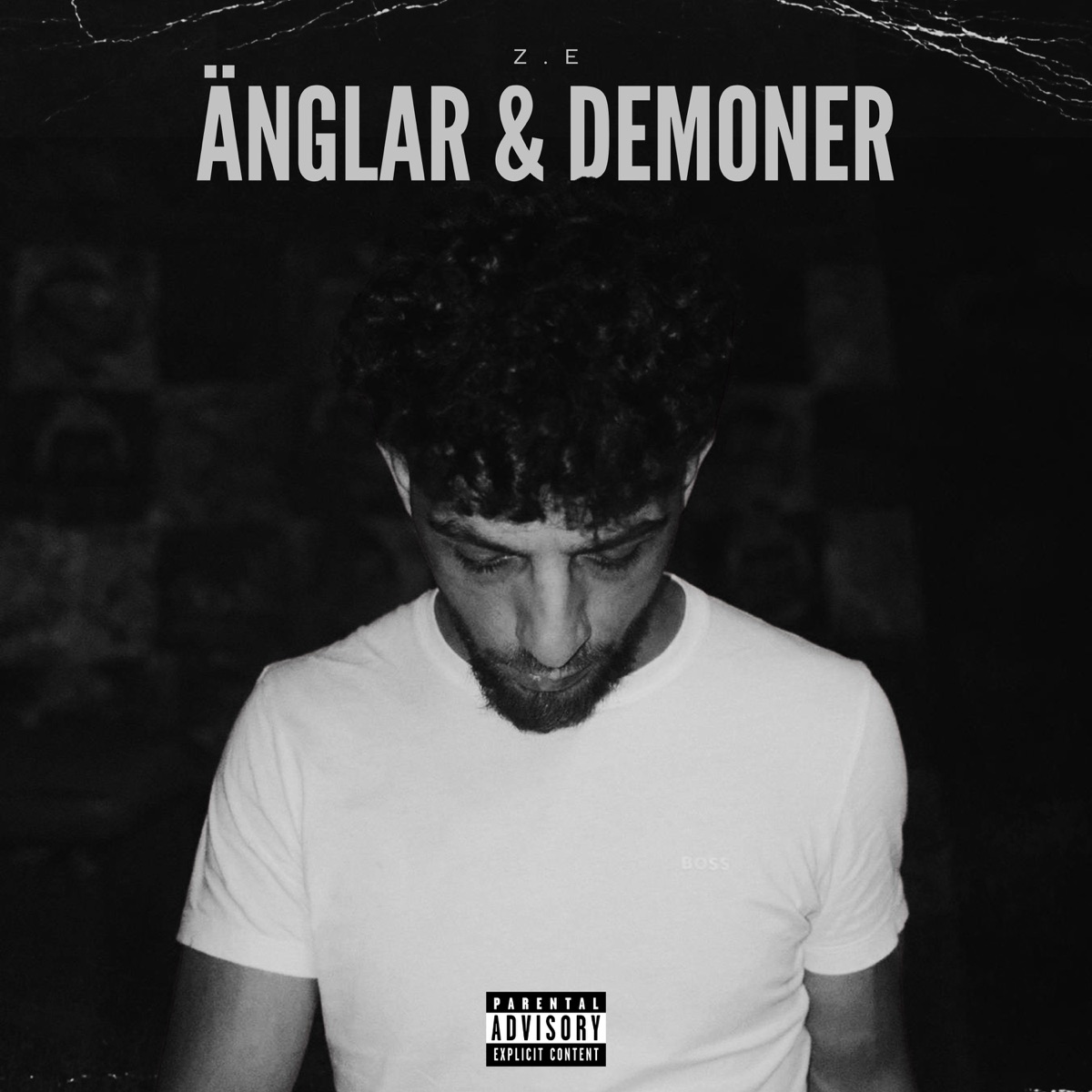 Änglar & Demoner by Z.E album cover