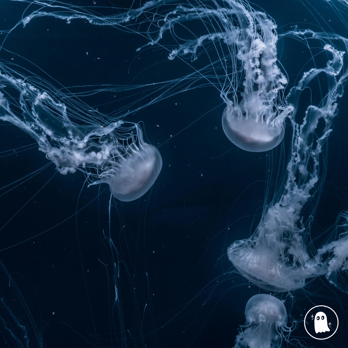 plunge - Single by beyond pluto & seæn album cover