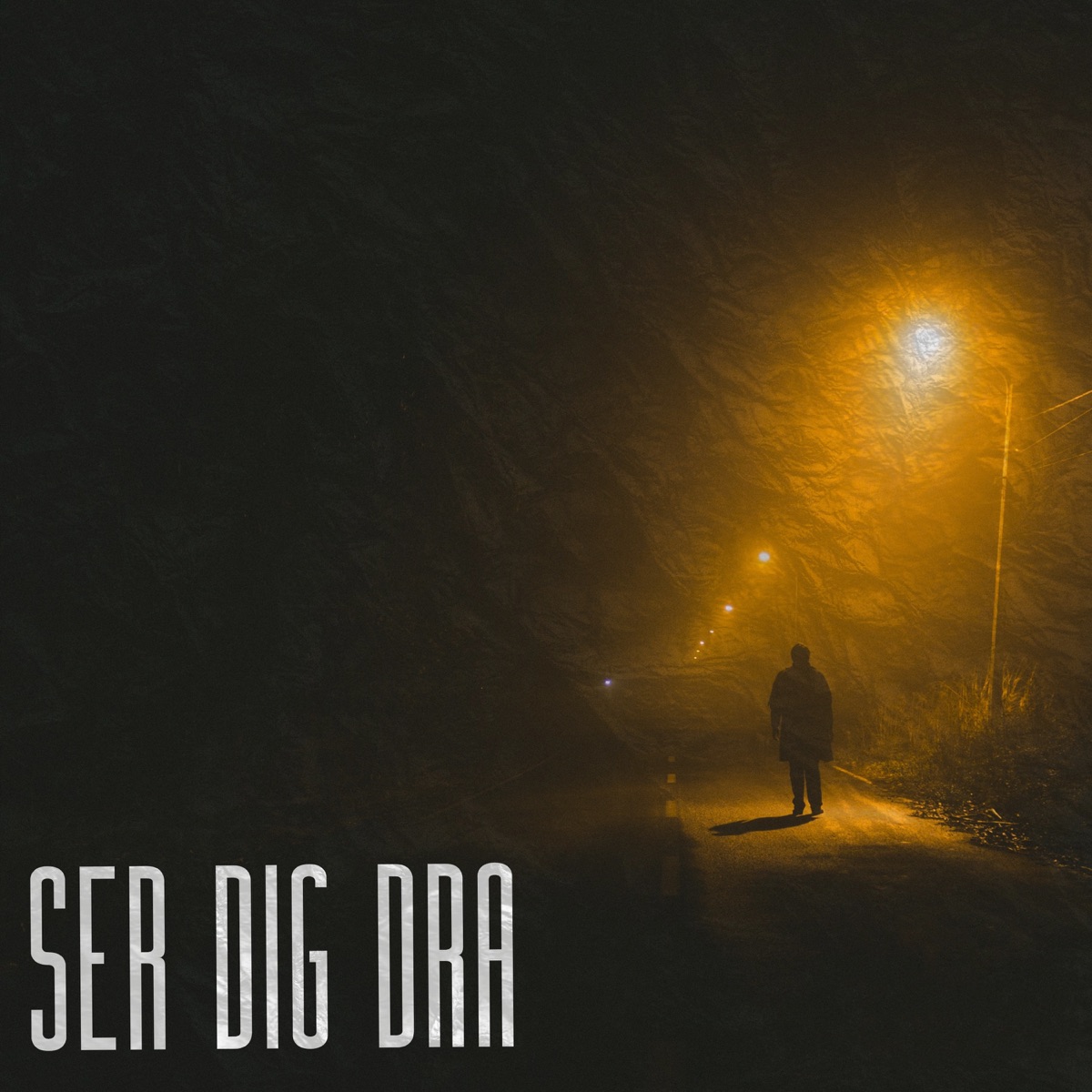 SER DIG DRA - Single by BR0D3R, Demz & Kattastrof album cover