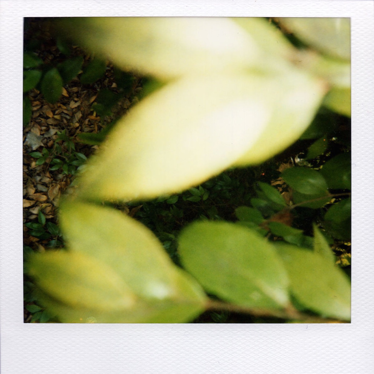 Soap by Dakim album cover