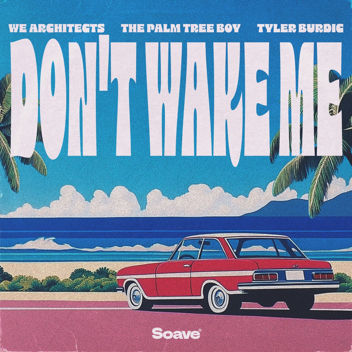 Don't Wake Me - Single by We Architects, The Palm Tree Boy & Tyler Burdic album cover