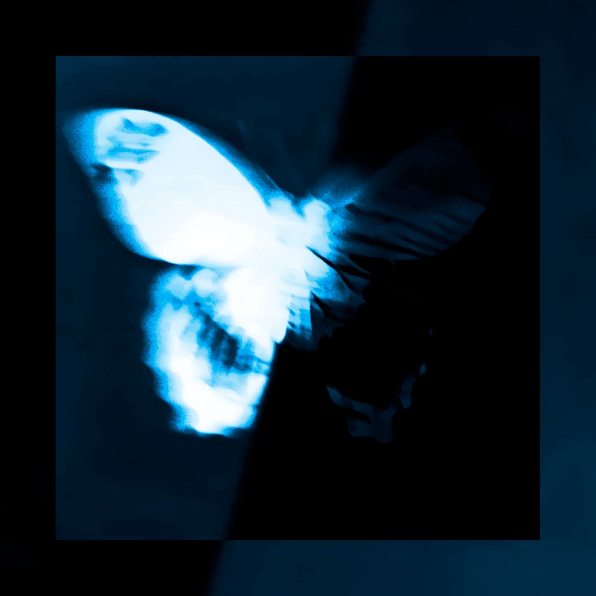 I Hope This Never Ends - Single by Solizy, QUPE & Xvts album cover