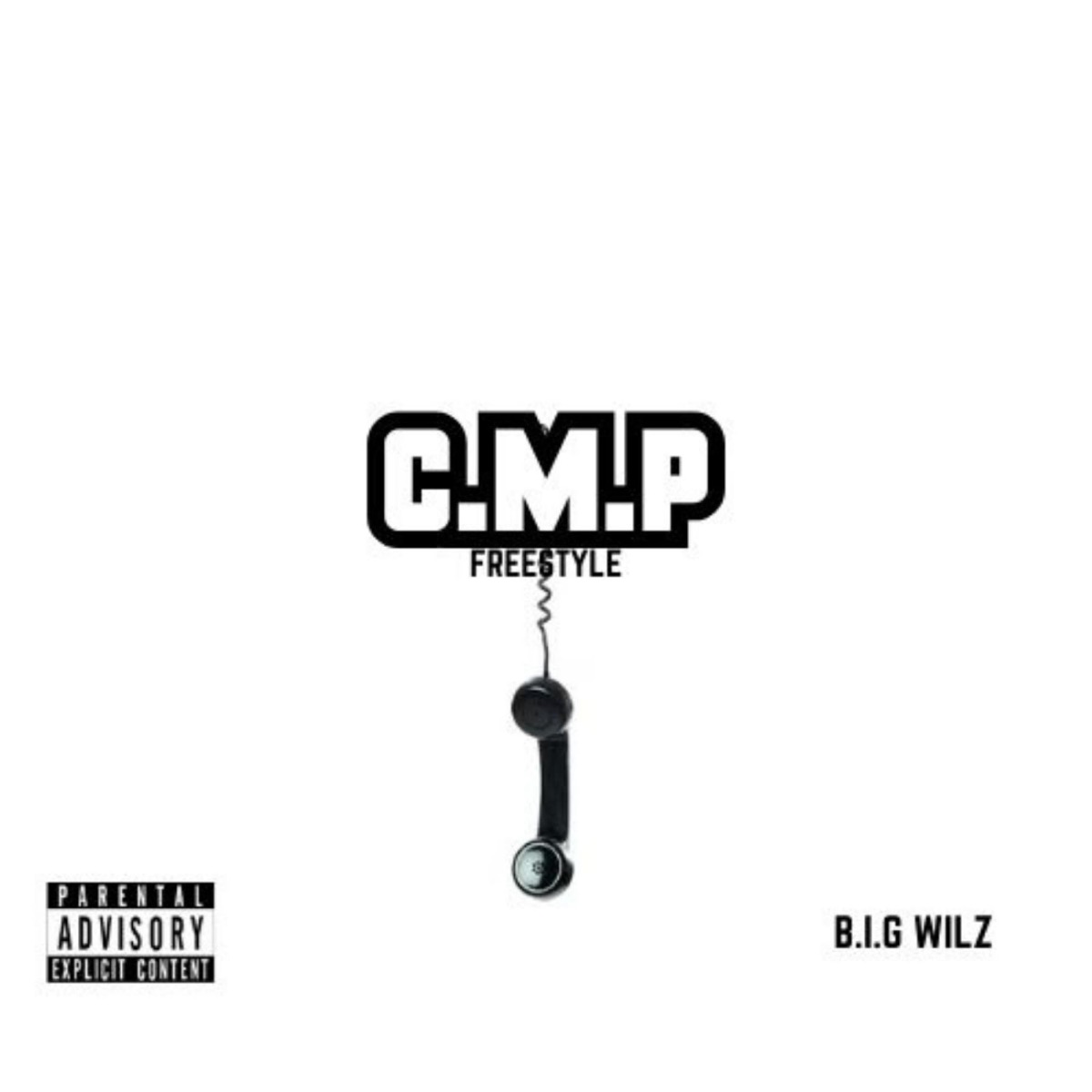 C.M.P - Single by Big Wilz album cover