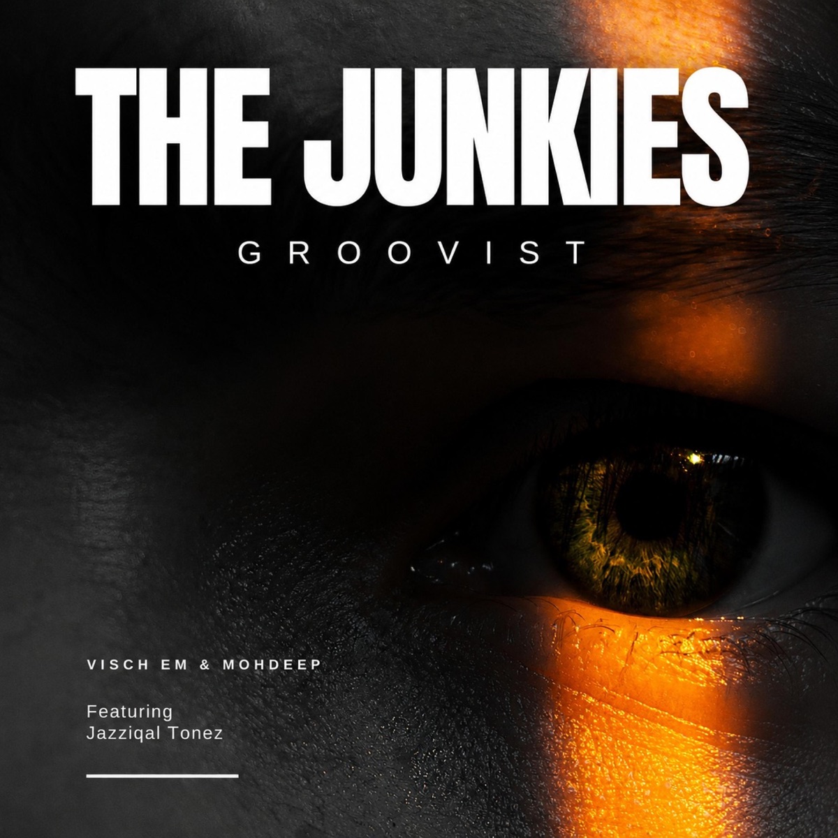 The Junkies Groovist (feat. MohDeep & Jazziqal Tonez) - Single by Visch EM album cover