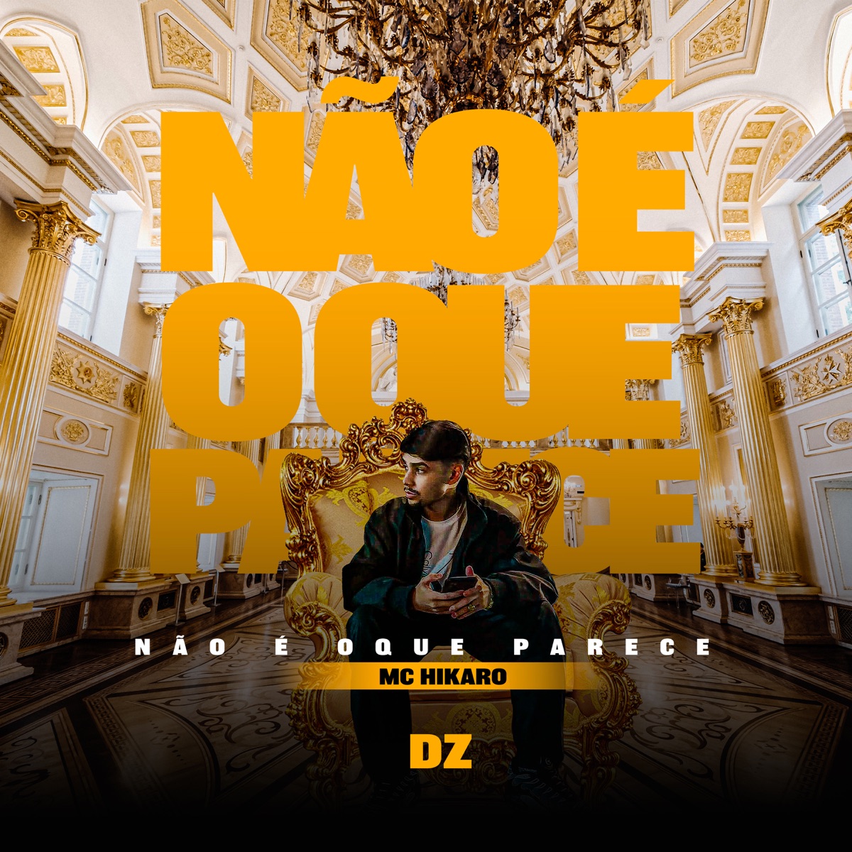 Não é o Que Parece - Single by Mc Hikaro & DZ album cover