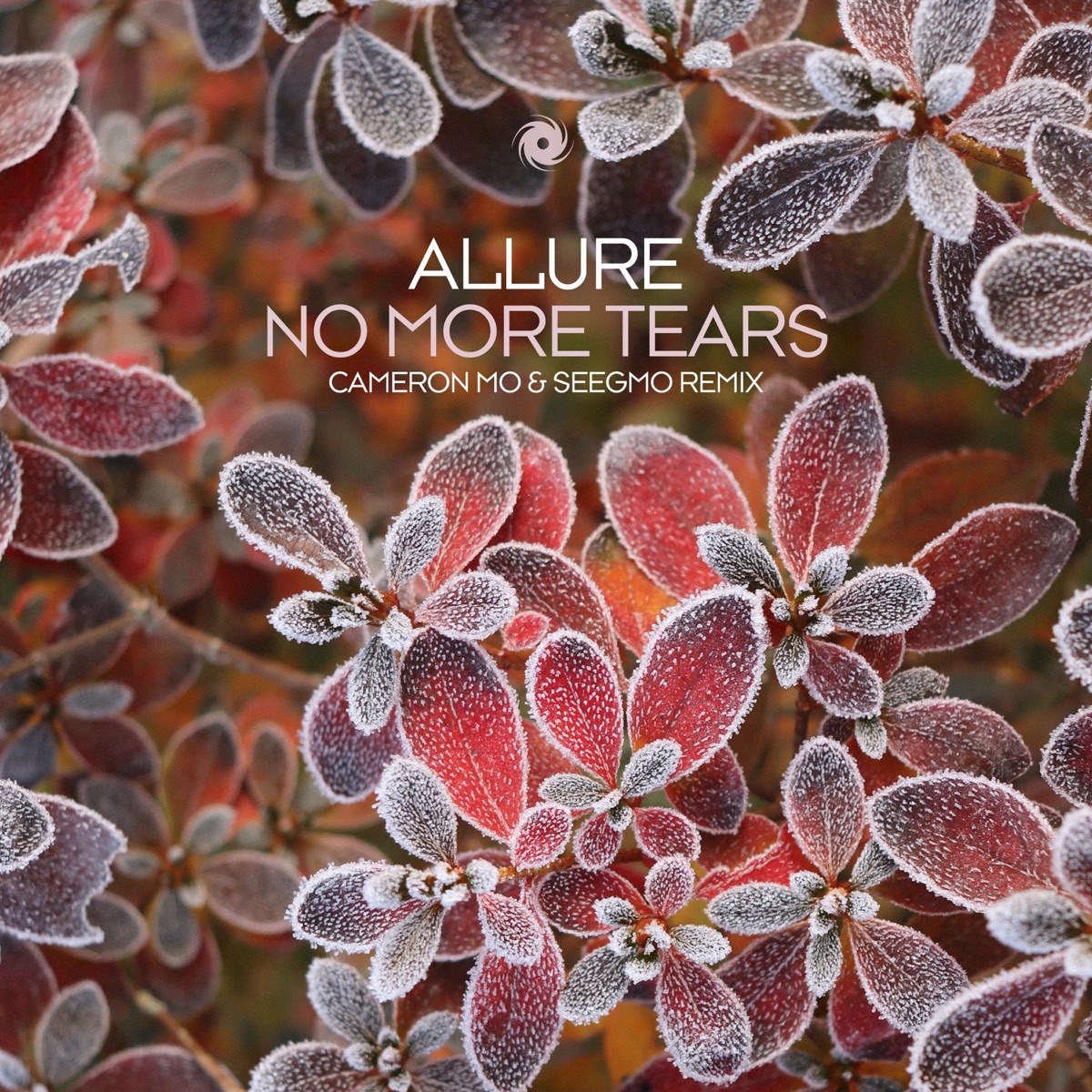 No More Tears - Single by Allure, Cameron Mo & Seegmo album cover