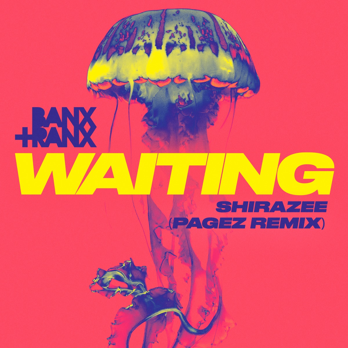 Waiting (PAGEZ Remix) - Single by Banx & Ranx, Shirazee & PAGEZ album cover