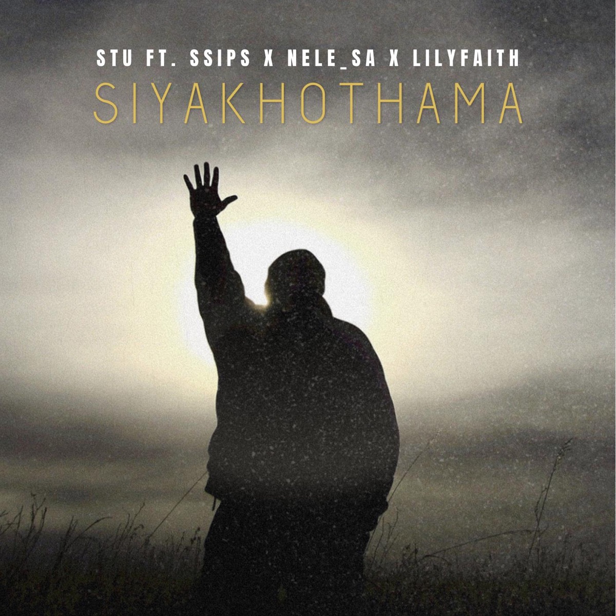 Siyakhothama (feat. Ssips, Nele_SA & LilyFaith) - Single by Stu & Beast Viking album cover