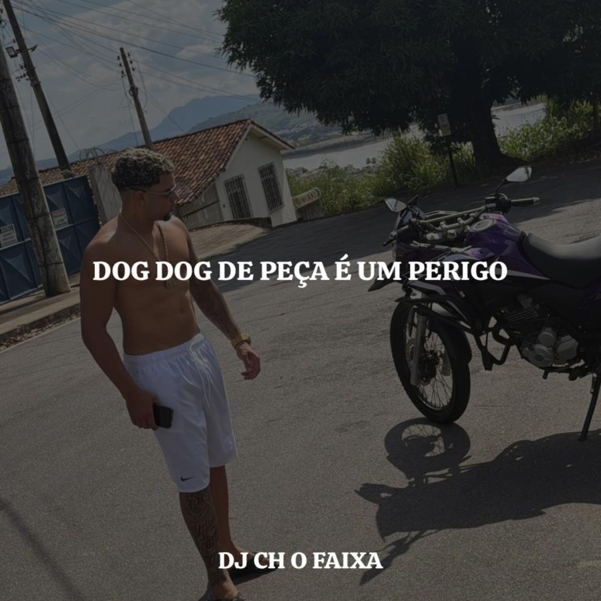 DOG DOG DE PEÇA É UM PERIGO - Single by DJ CH O FAIXA album cover