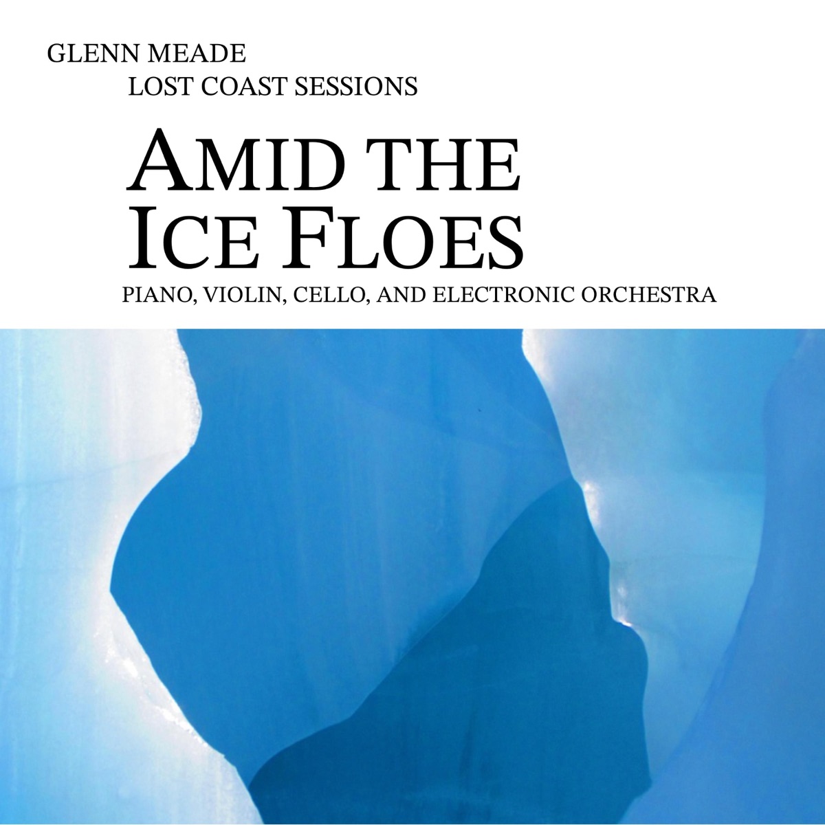 Amid the Ice Floes by Glenn Meade album cover