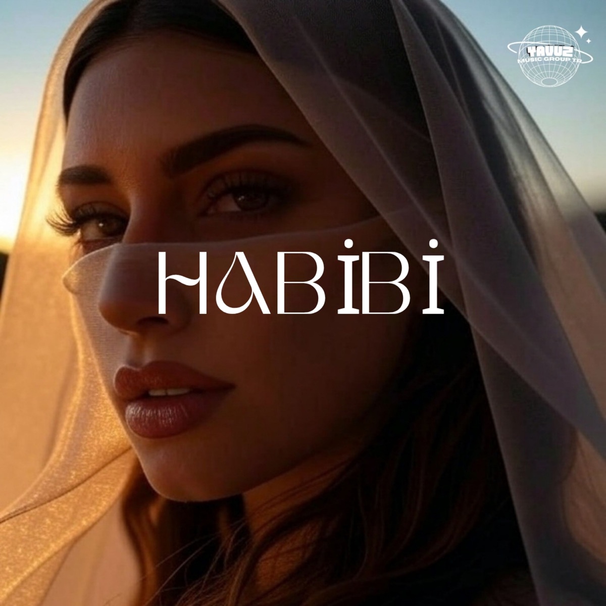 HABİBİ - Single by Yavuz album cover