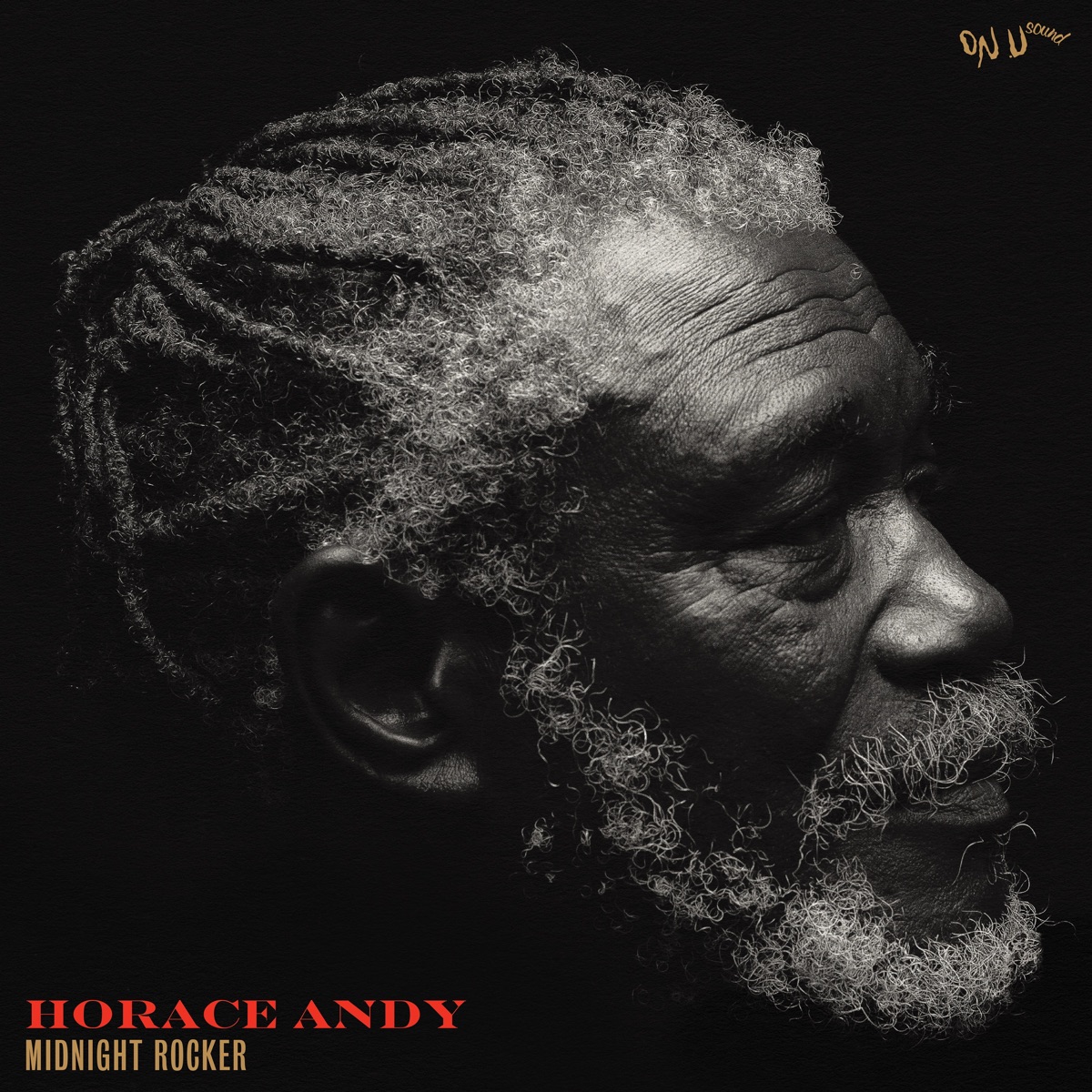 Midnight Rocker by Horace Andy album cover
