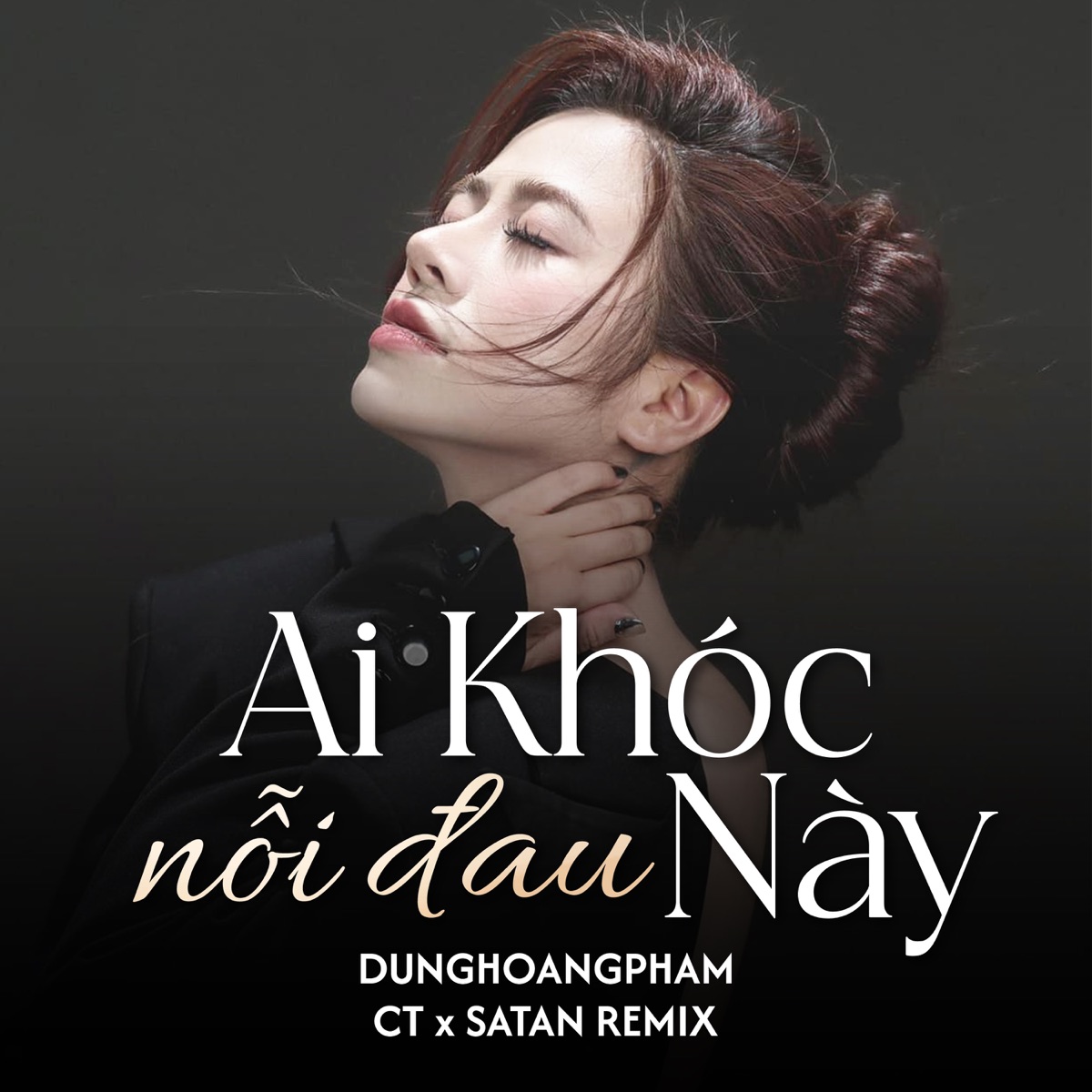 Ai Khóc Nỗi Đau Này - Single by DungHoangPham, CT & Satan Remix album cover