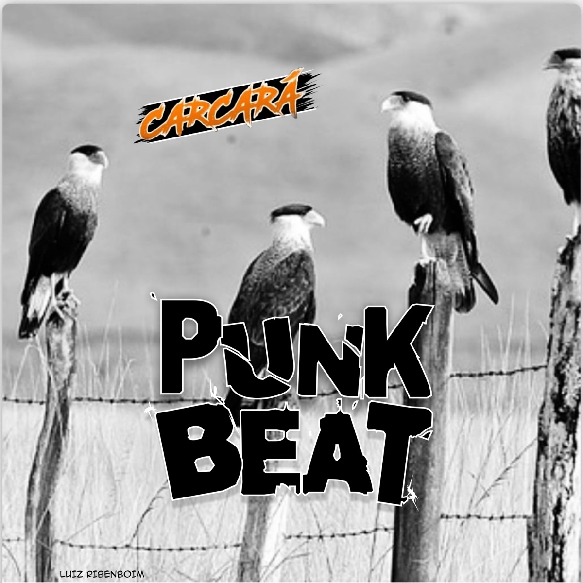 Punk beat - Single by Carcará album cover