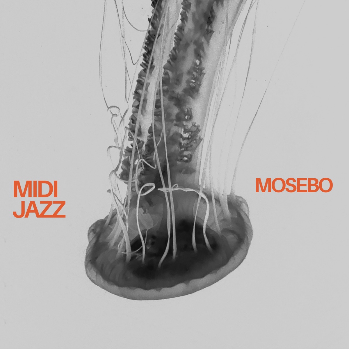 Midi Jazz - Single by Mosebo album cover