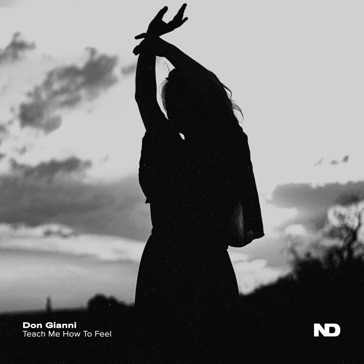 Teach Me How To Feel - Single by Don Gianni album cover