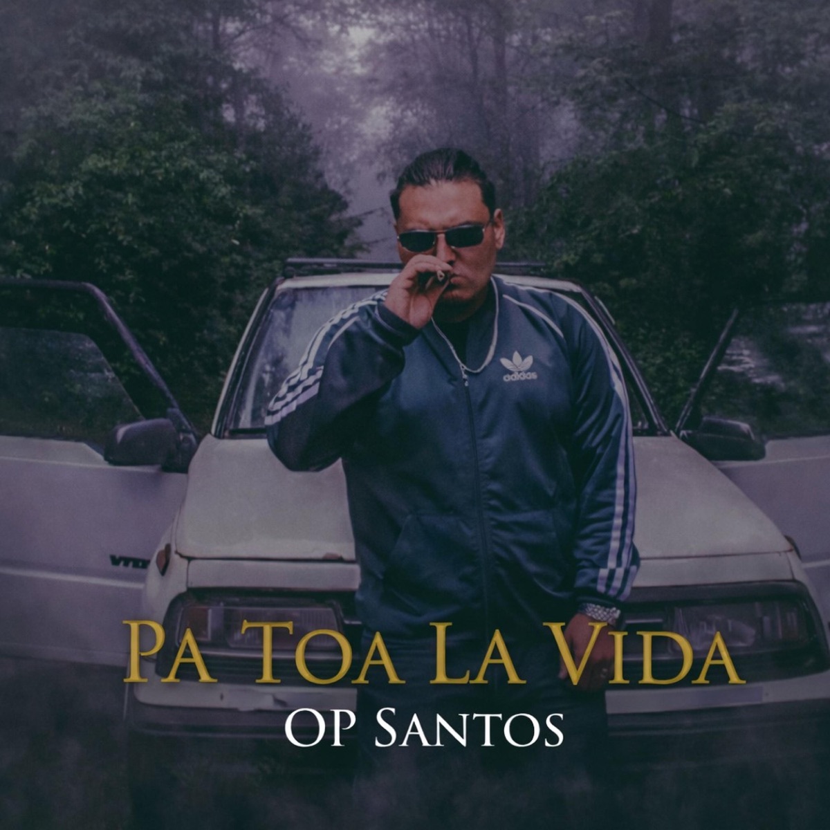 Pa Toa La Vida - Single by OP Santos album cover